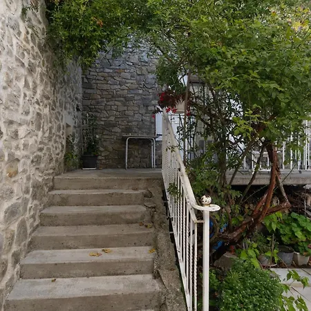 Chez L'oncle * Gras